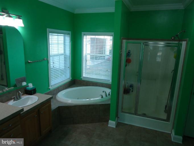 3504 Long Meadow Road Middletown, VA 22645 - Photo 16 of 28 a bathroom with a sink a toilet and shower
