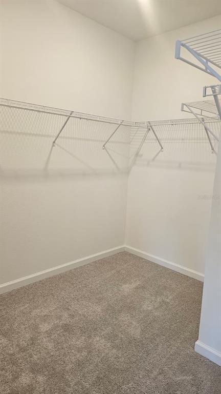 2739 Skyline Loop Kissimmee, FL 34758 - Photo 17 of 47