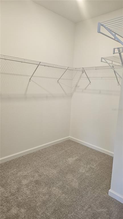 2739 Skyline Loop Kissimmee, FL 34758 - Photo 43 of 47