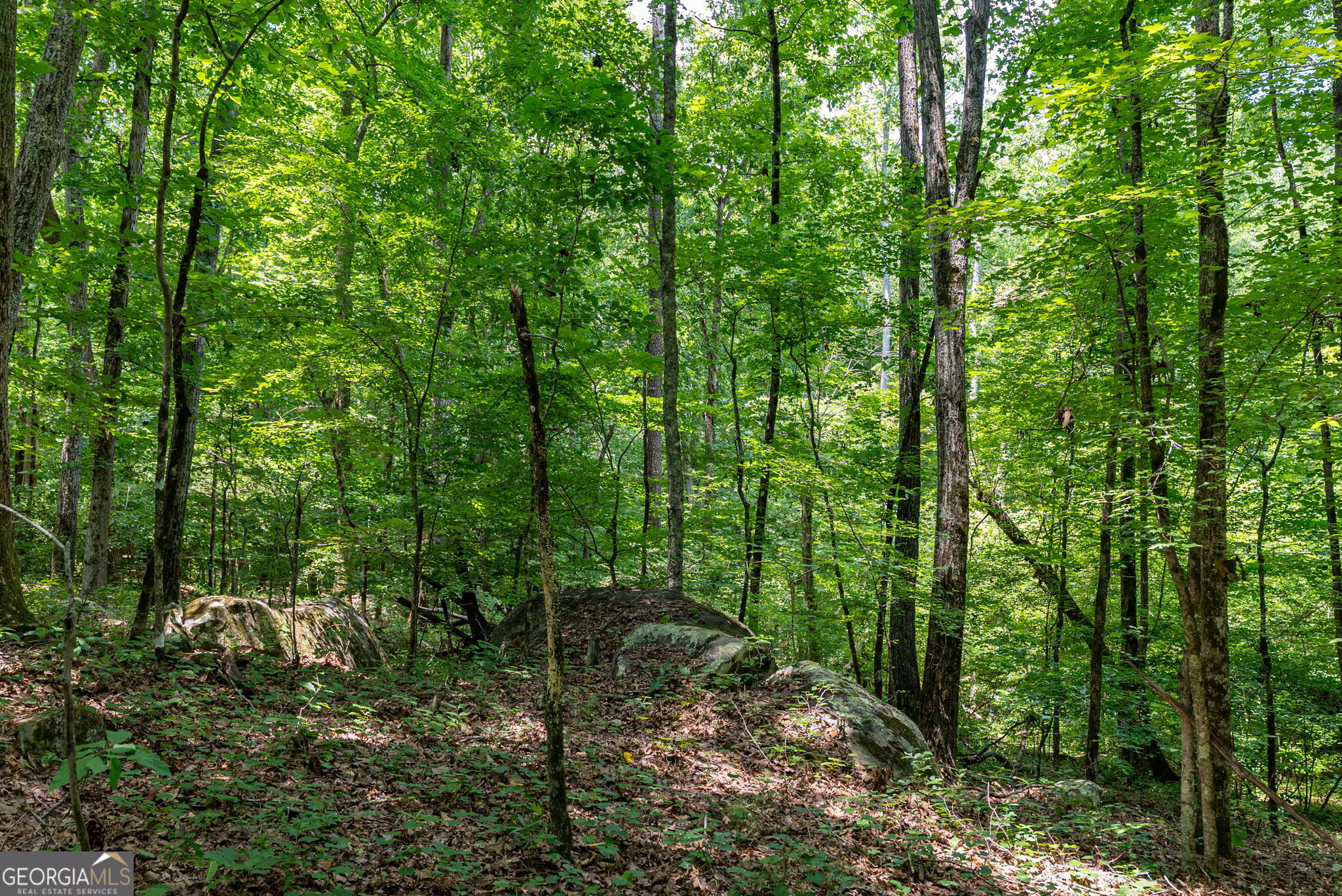 557 Faust Farm Road Crawford, GA 30630 - Photo 10 of 22