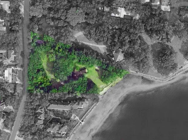 a view of a pathway with a tree