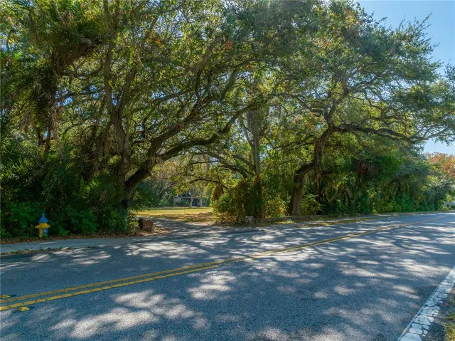 a view of a yard with large trees