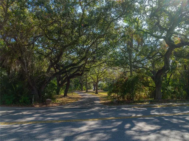 a view of road and trees