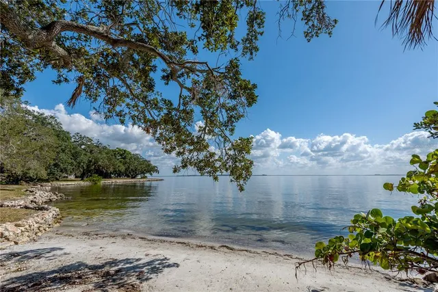 a view of a lake from a yard