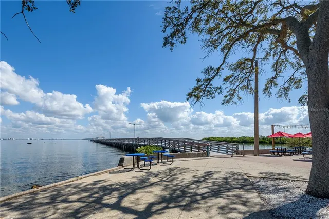 $12,000,000 | 6210 Bayshore Boulevard, Tampa, FL 33611