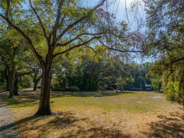 a view of a yard with trees
