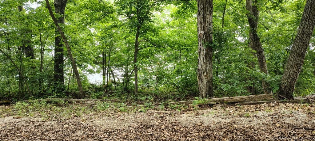 20 Braden Road Stover, MO 65078 - Photo 8 of 18 Roadside View