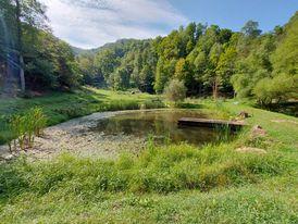 1532 Grassy Spur Road Bandy, VA 24602 - Photo 33 of 46 Gallery Image 33