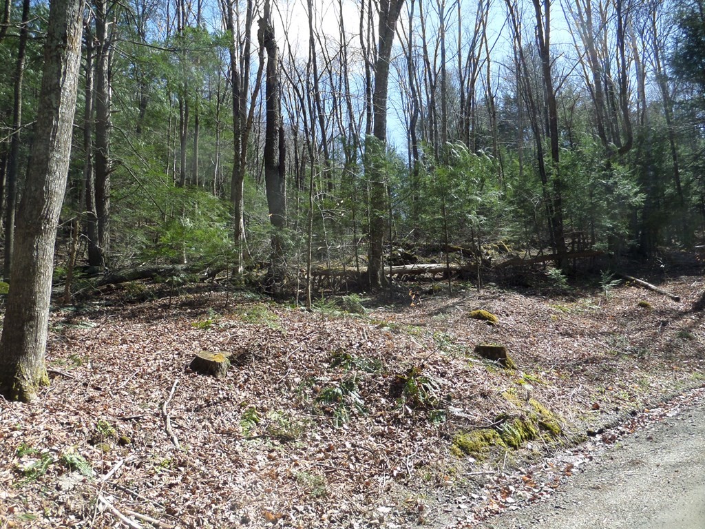 Lot 1 Thayer Hill Road Worthington, MA 01098 - Photo 2 of 4 a view of outdoor space with trees