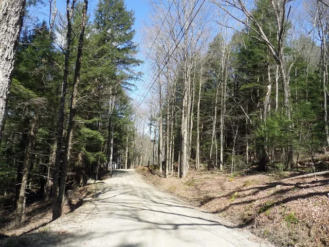 a view of road and trees