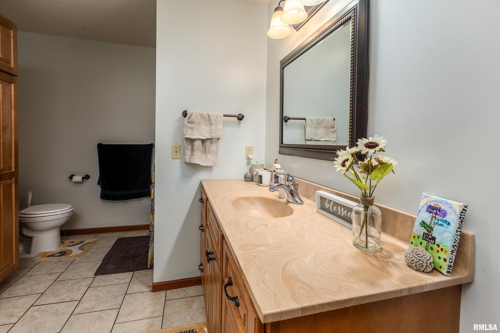 186 Bonnie Brae Road Carbondale, IL 62901 - Photo 18 of 47 a bathroom with a sink and a mirror