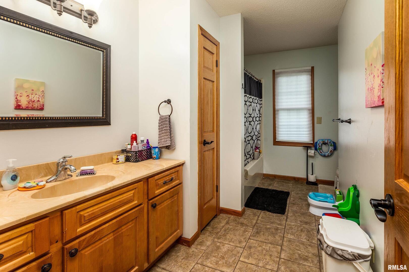 186 Bonnie Brae Road Carbondale, IL 62901 - Photo 23 of 47 a bathroom with a sink and a mirror