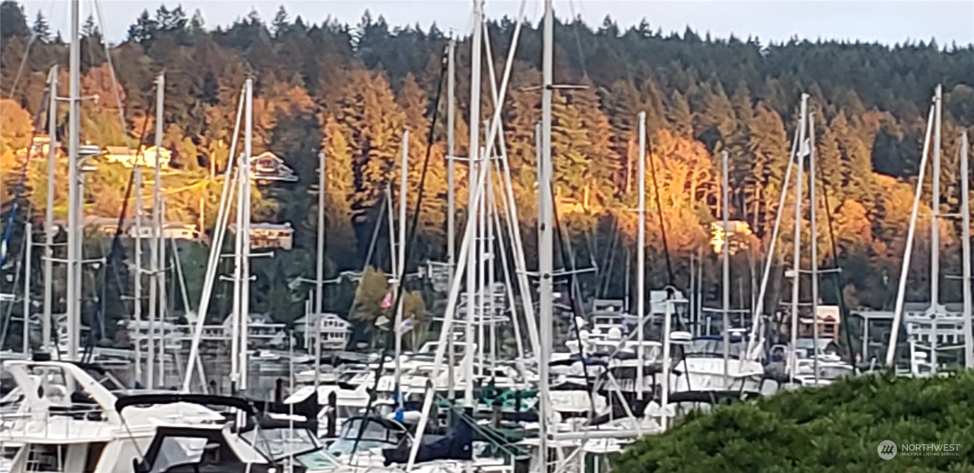 3901 Harborview Drive, Unit B3 Gig Harbor, WA 98332 - Photo 1 of 1 a view of outdoor space with garden