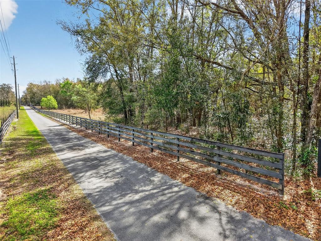 3800 Double D Circle R Lady Lake, FL 32159 - Photo 1 of 6 a view of backyard with green space