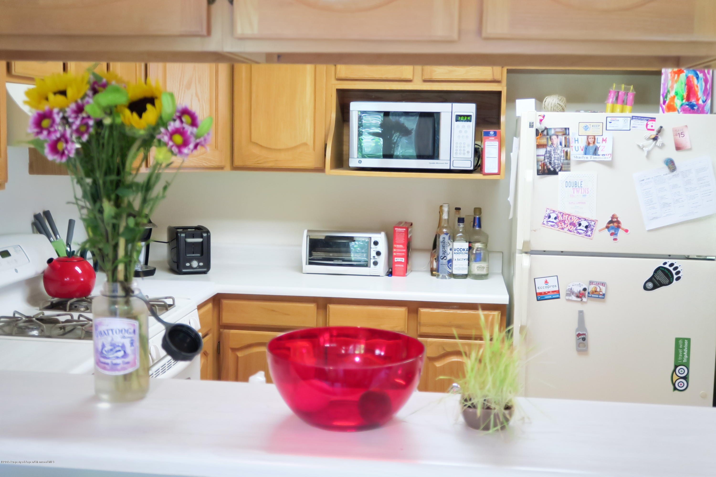 105 Silverado Drive Basalt, CO 81621 - Photo 8 of 13