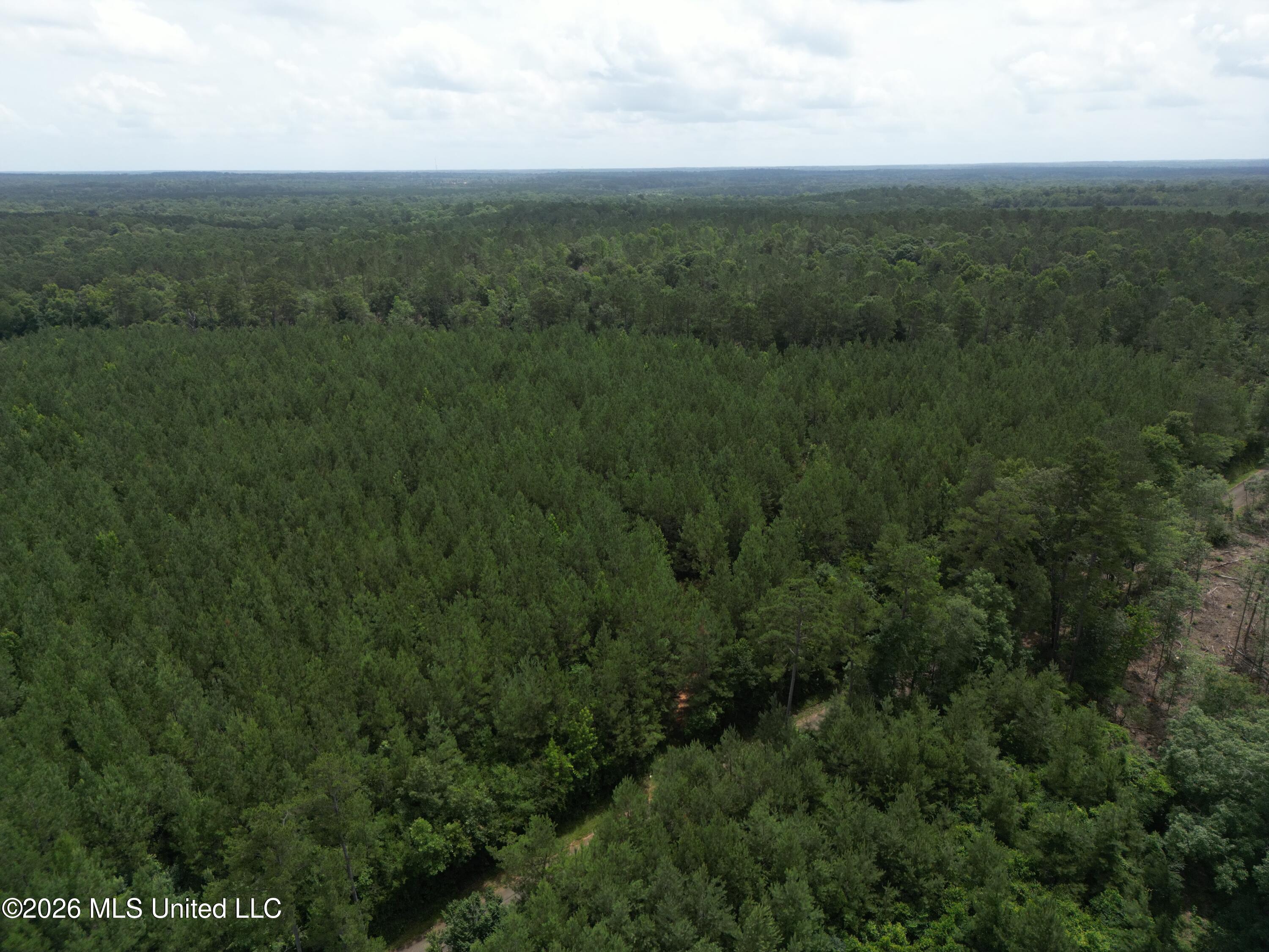 Summit Holmesville Road McComb, MS 39648 - Photo 14 of 29 DJI_0622