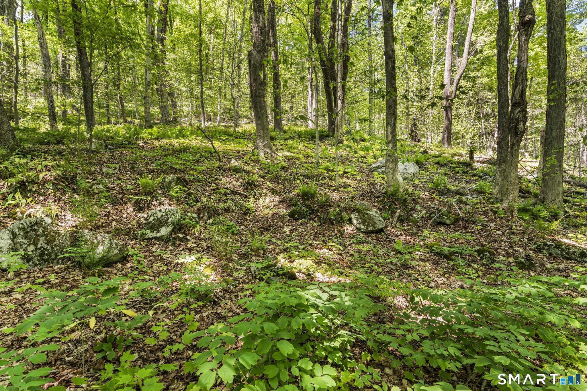 321 Colebrook Road Winchester, CT 06098 - Photo 29 of 39