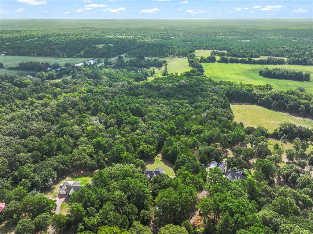 176 County Road 3282 Quitman, TX 75783 - Photo 31 of 35 a view of a lake with a building in the background