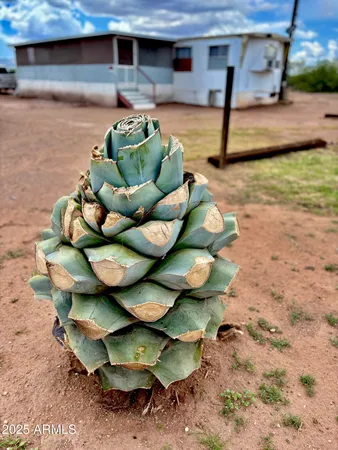 a view of a swimming pool with an ocean view