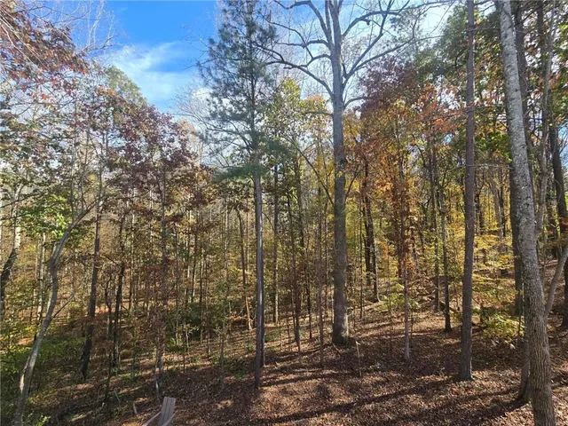 a view of outdoor space with deck and tree