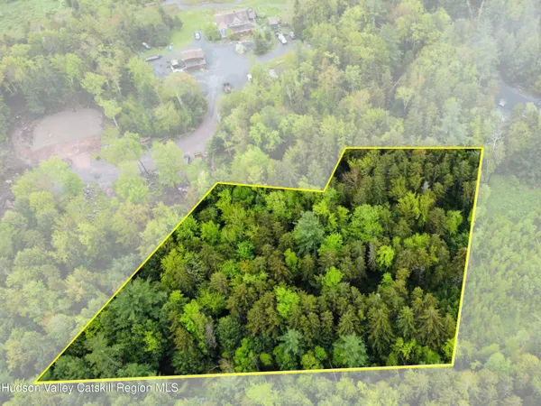 a view of a yard with plants