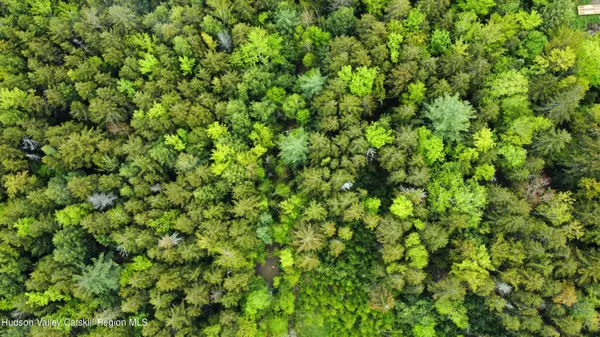 a view of a lush green field
