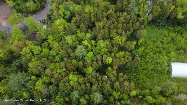 a view of a lush green forest with a houses