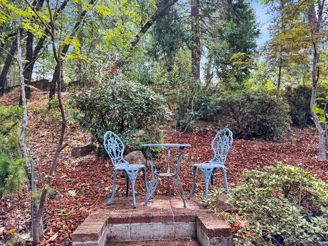 $599,000 | 529 Greenwood Drive, Meadow Vista, CA 95722