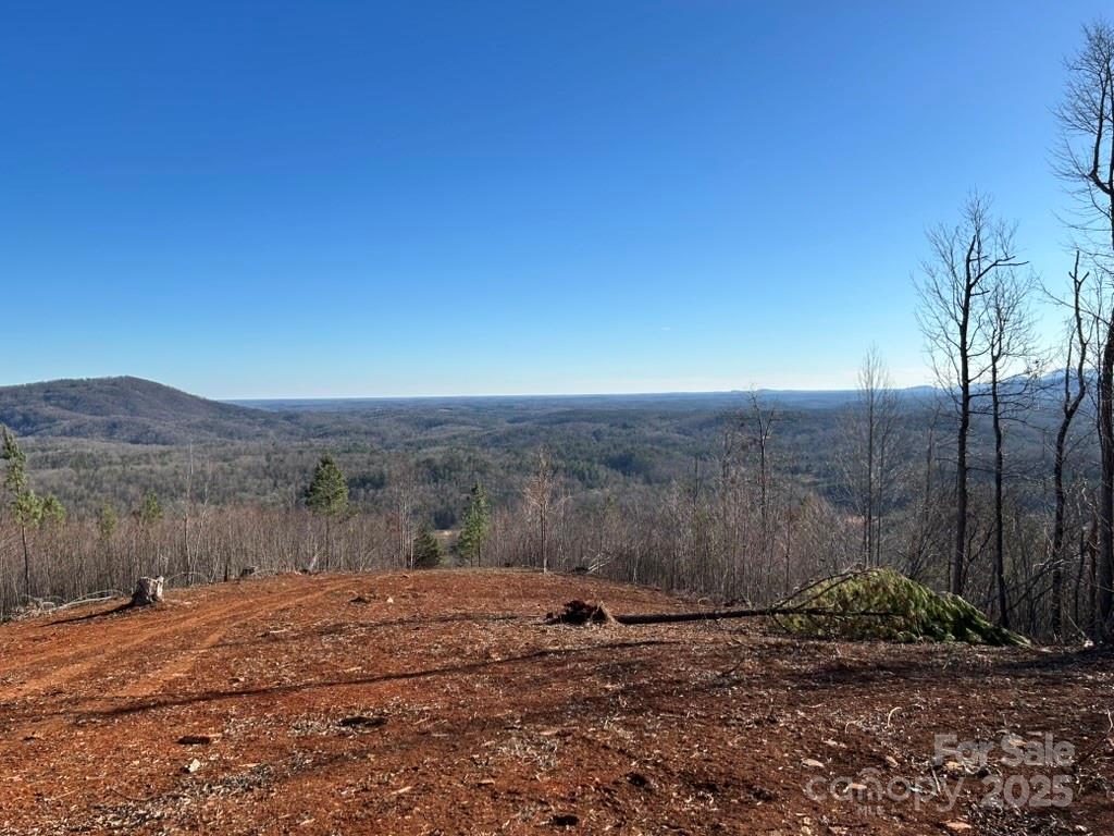 0 Cove Road Marion, NC 28752 - Photo 11 of 22 a view of a backyard