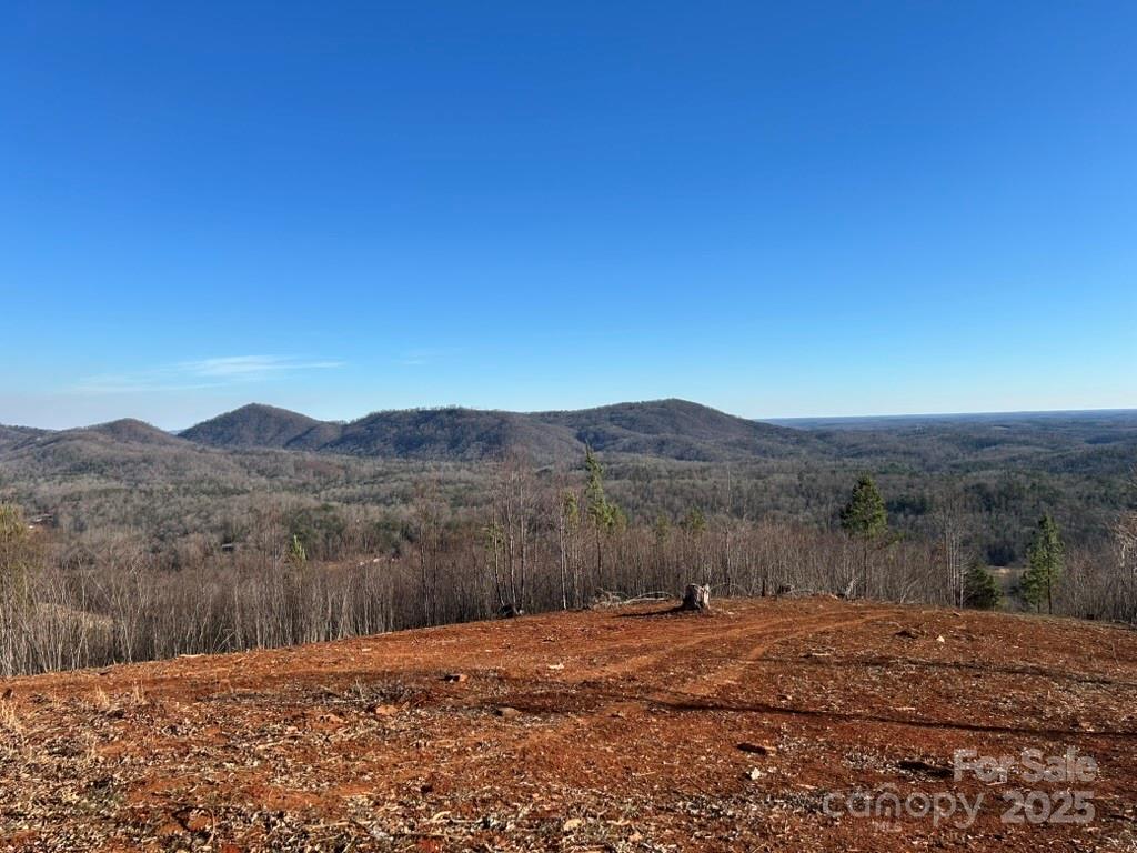 0 Cove Road Marion, NC 28752 - Photo 12 of 22 a view of a backyard with green space