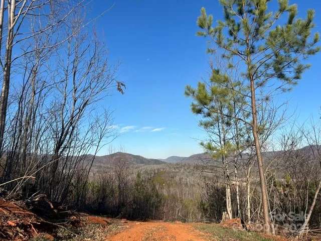 a view of a back yard