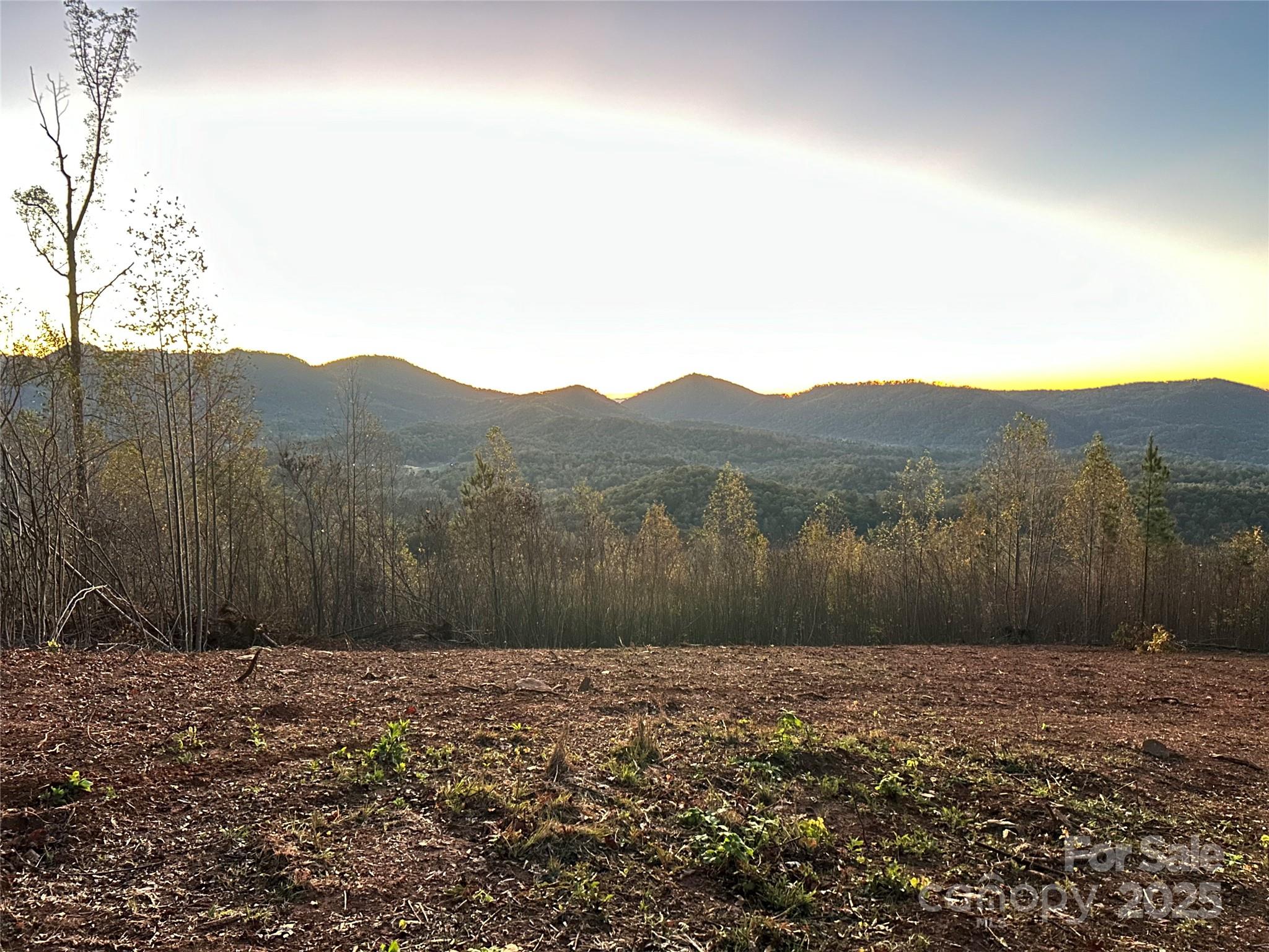 0 Cove Road Marion, NC 28752 - Photo 15 of 22 a view of a back yard