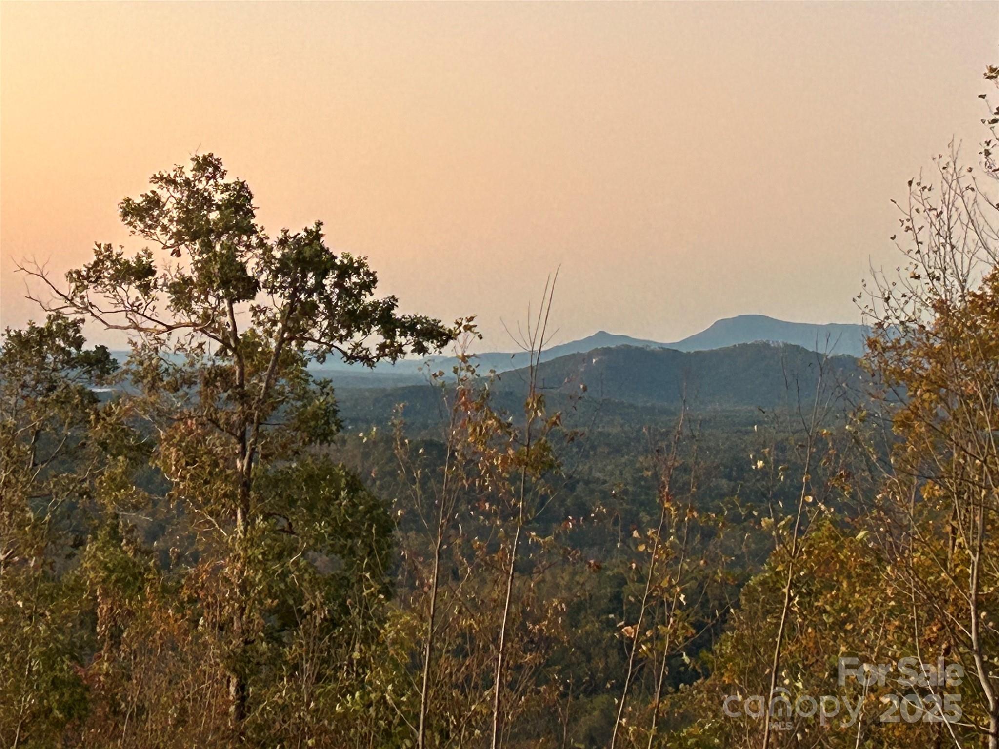 0 Cove Road Marion, NC 28752 - Photo 16 of 22 a view of a house with a mountain and a forest