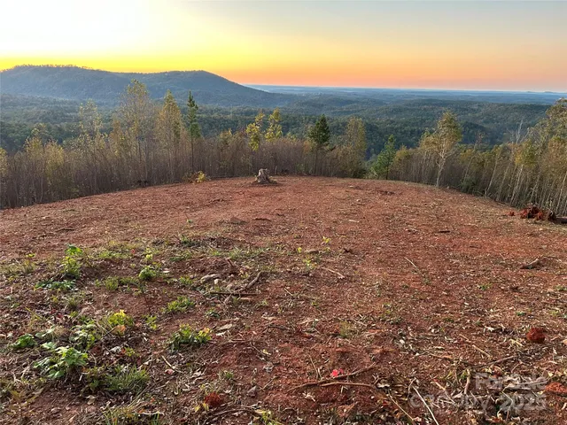 a view of a backyard with green space