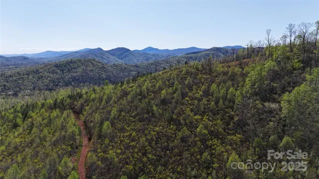 a view of a mountain in the distance