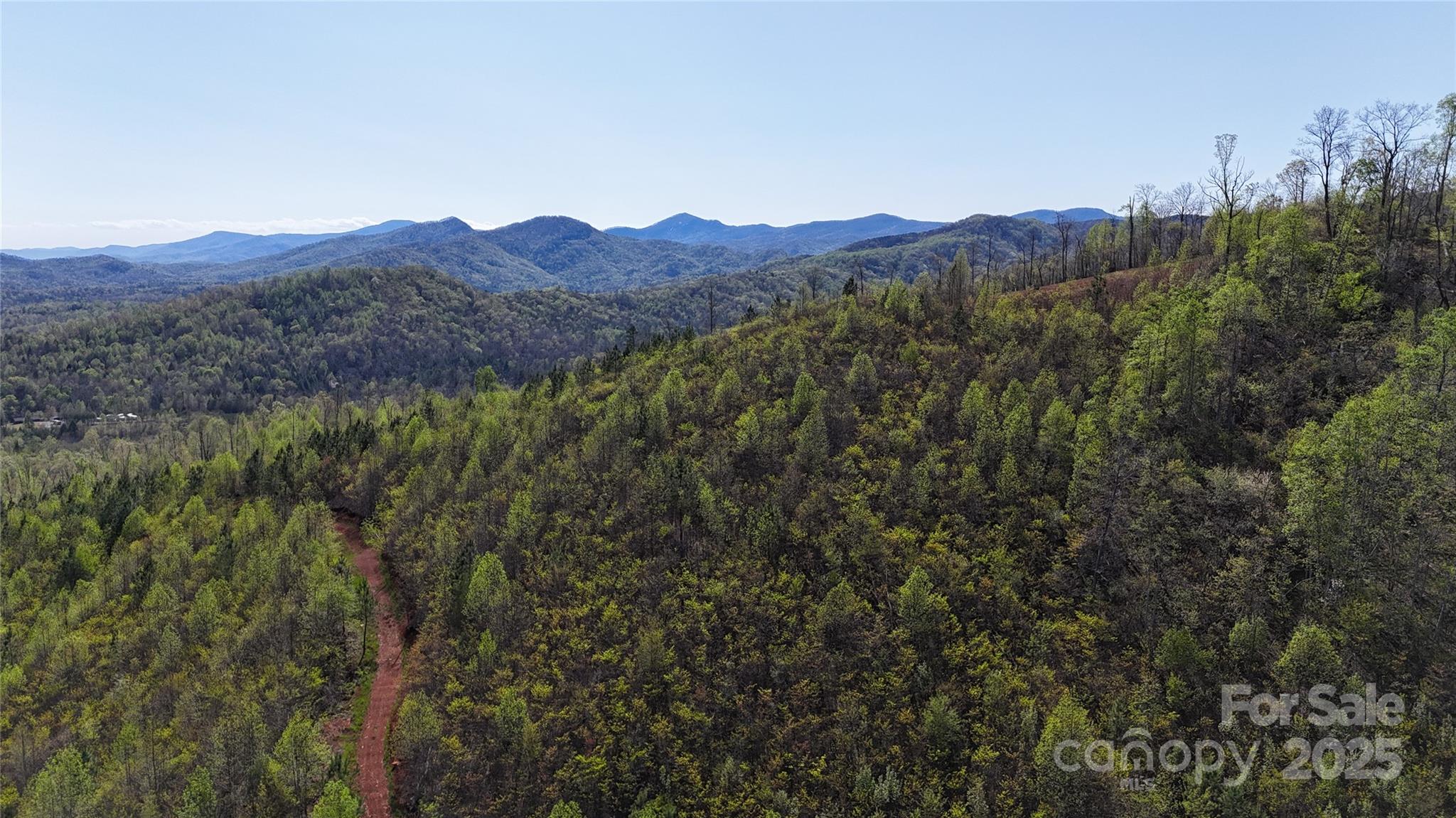 0 Cove Road Marion, NC 28752 - Photo 2 of 22 a view of a mountain in the distance