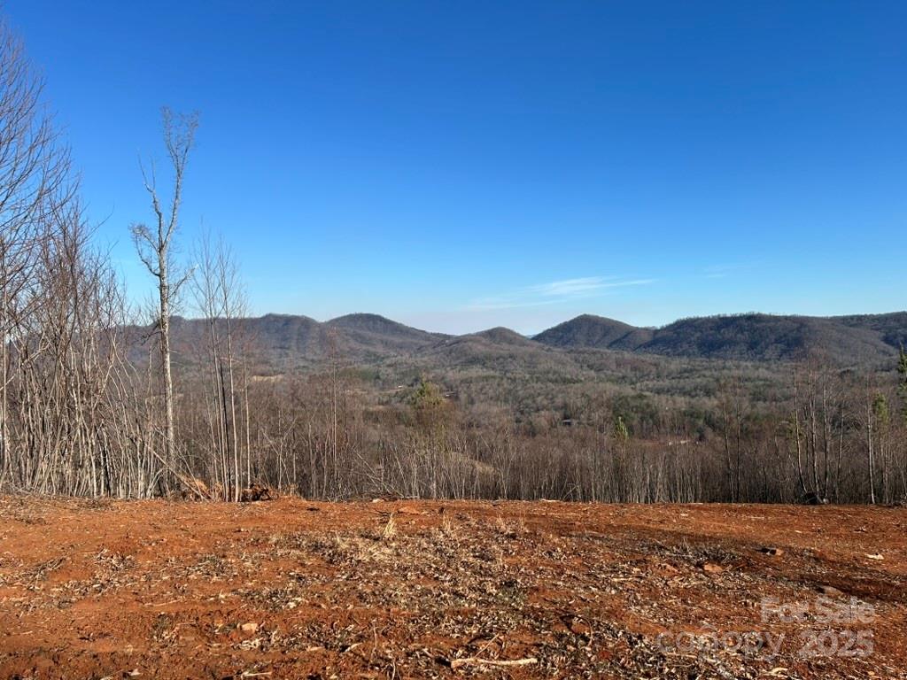 0 Cove Road Marion, NC 28752 - Photo 3 of 22 a view of a backyard with green space