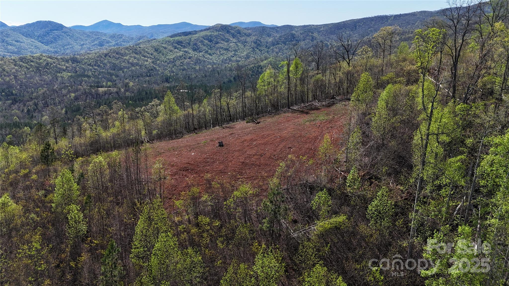 0 Cove Road Marion, NC 28752 - Photo 4 of 22 a view of a lush green hillside and a mountain view