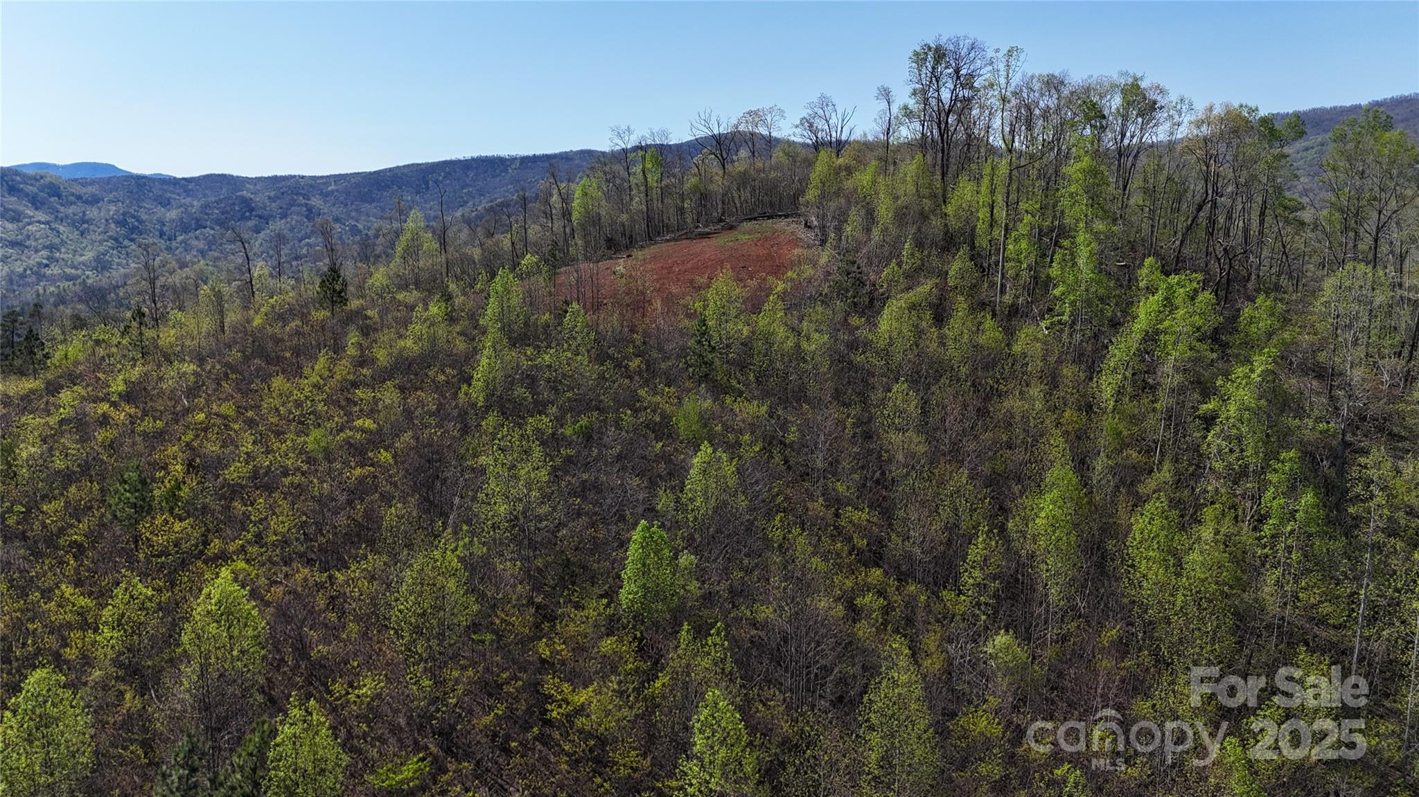 0 Cove Road Marion, NC 28752 - Photo 5 of 22 a view of a lush green forest with trees in the background