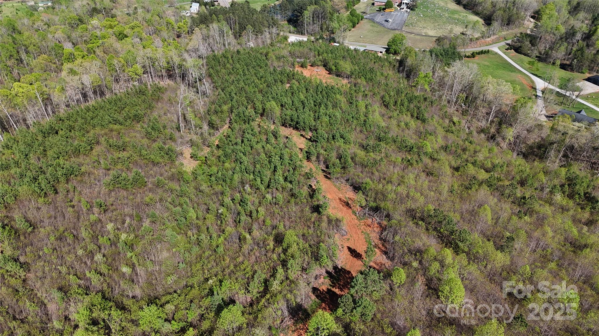 0 Cove Road Marion, NC 28752 - Photo 6 of 22 a view of a lush green forest with lots of trees