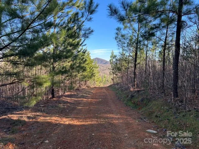 a view of backyard with green space