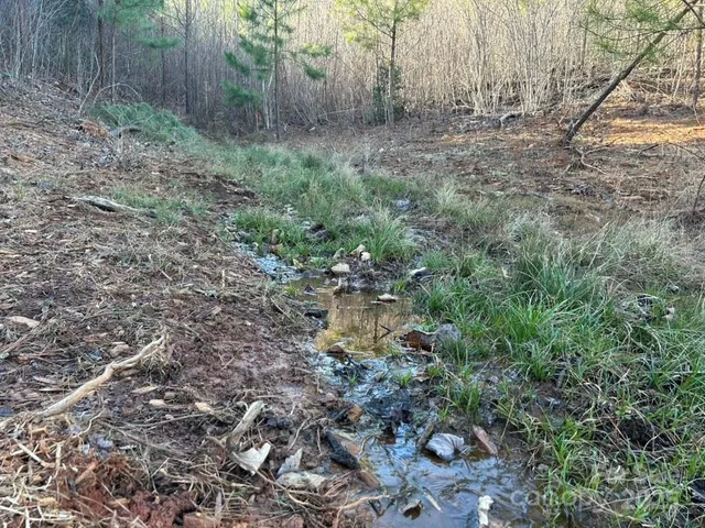 a big yard with lots of green space