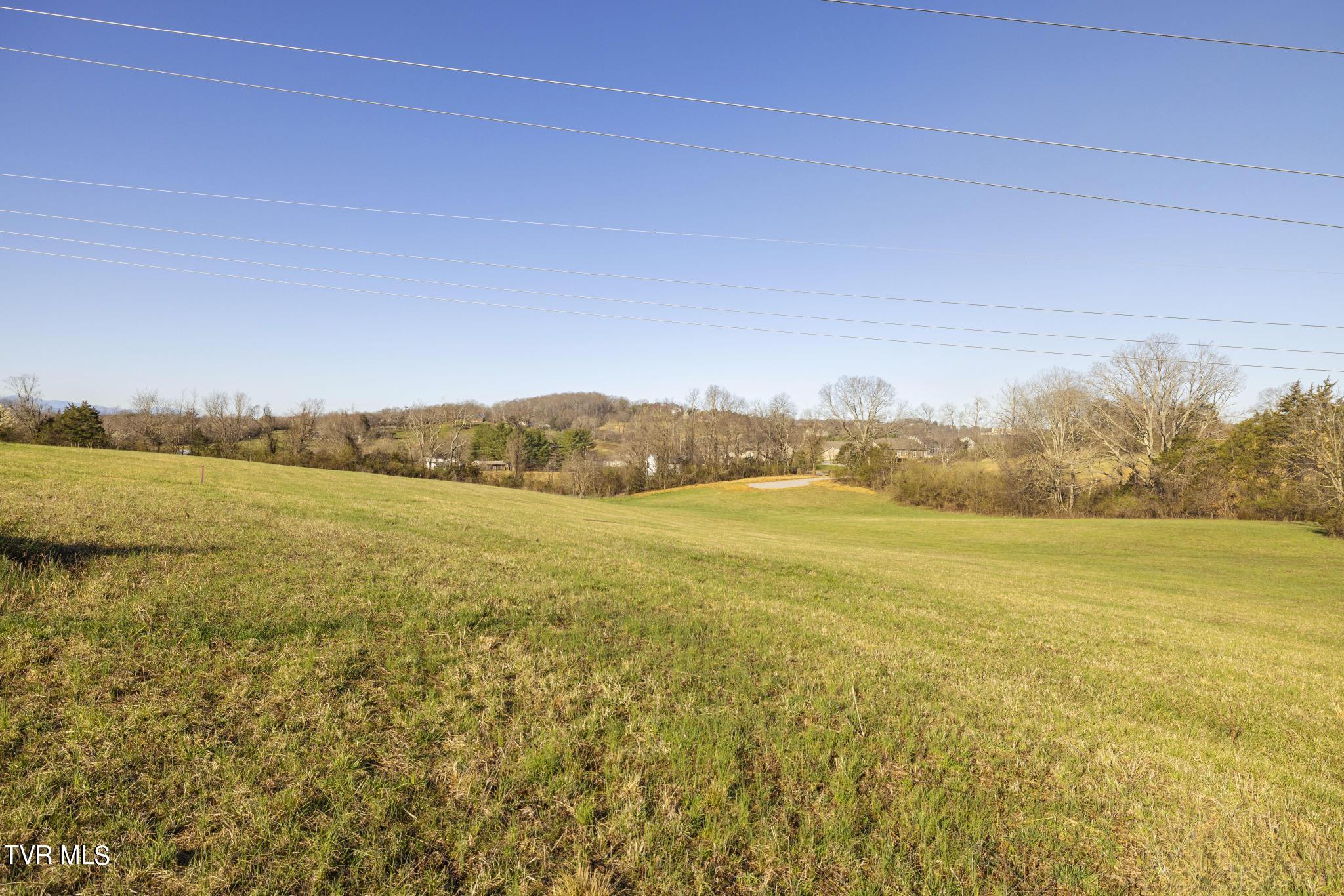 Lot 2 Woodfield Road Greeneville, TN 37743 - Photo 11 of 26 Ground view