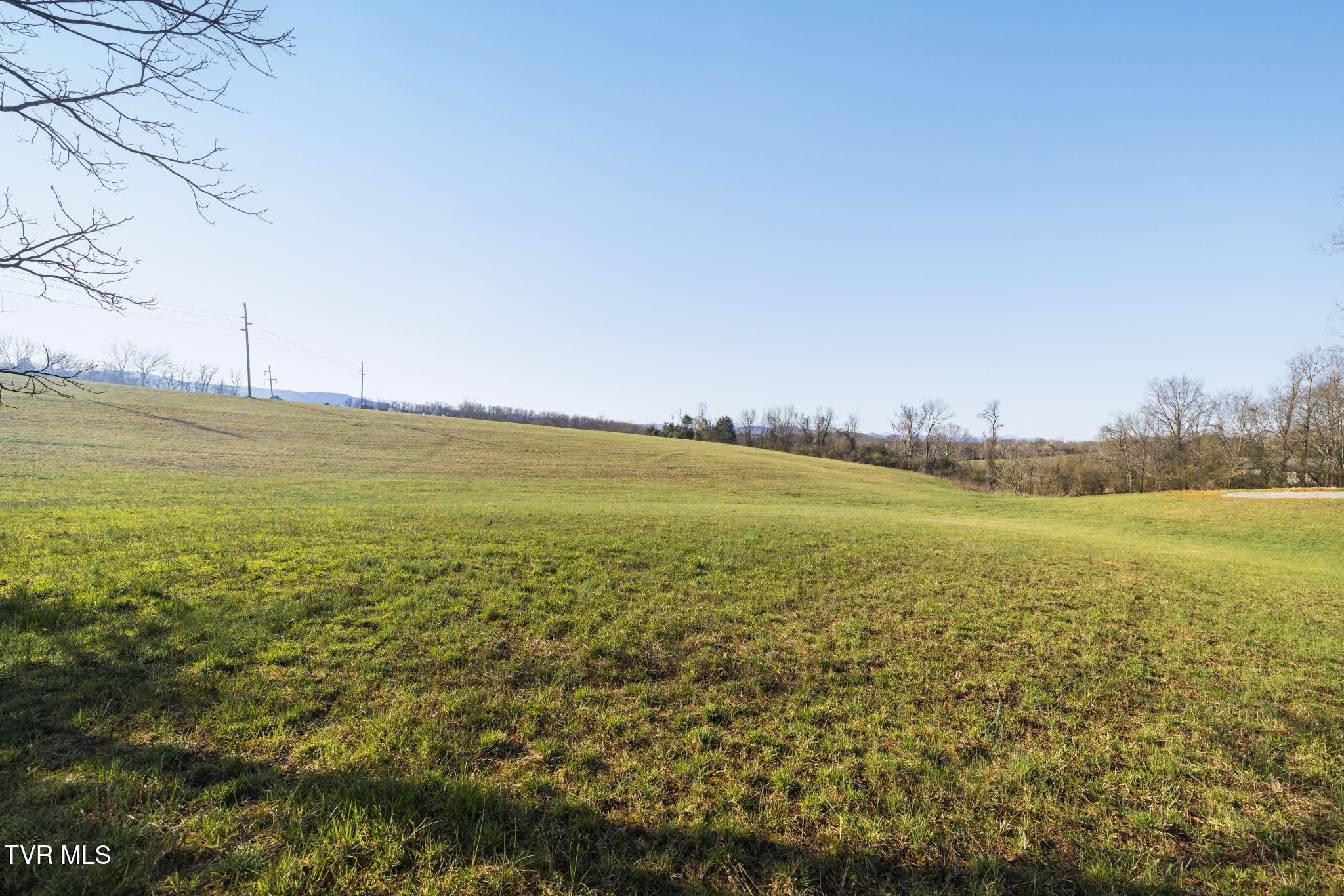 Lot 2 Woodfield Road Greeneville, TN 37743 - Photo 12 of 26 Ground view