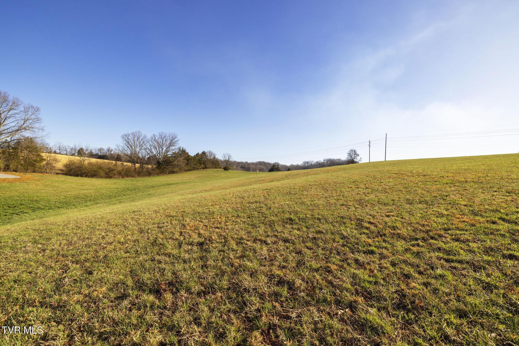 Lot 2 Woodfield Road Greeneville, TN 37743 - Photo 13 of 26 Ground view