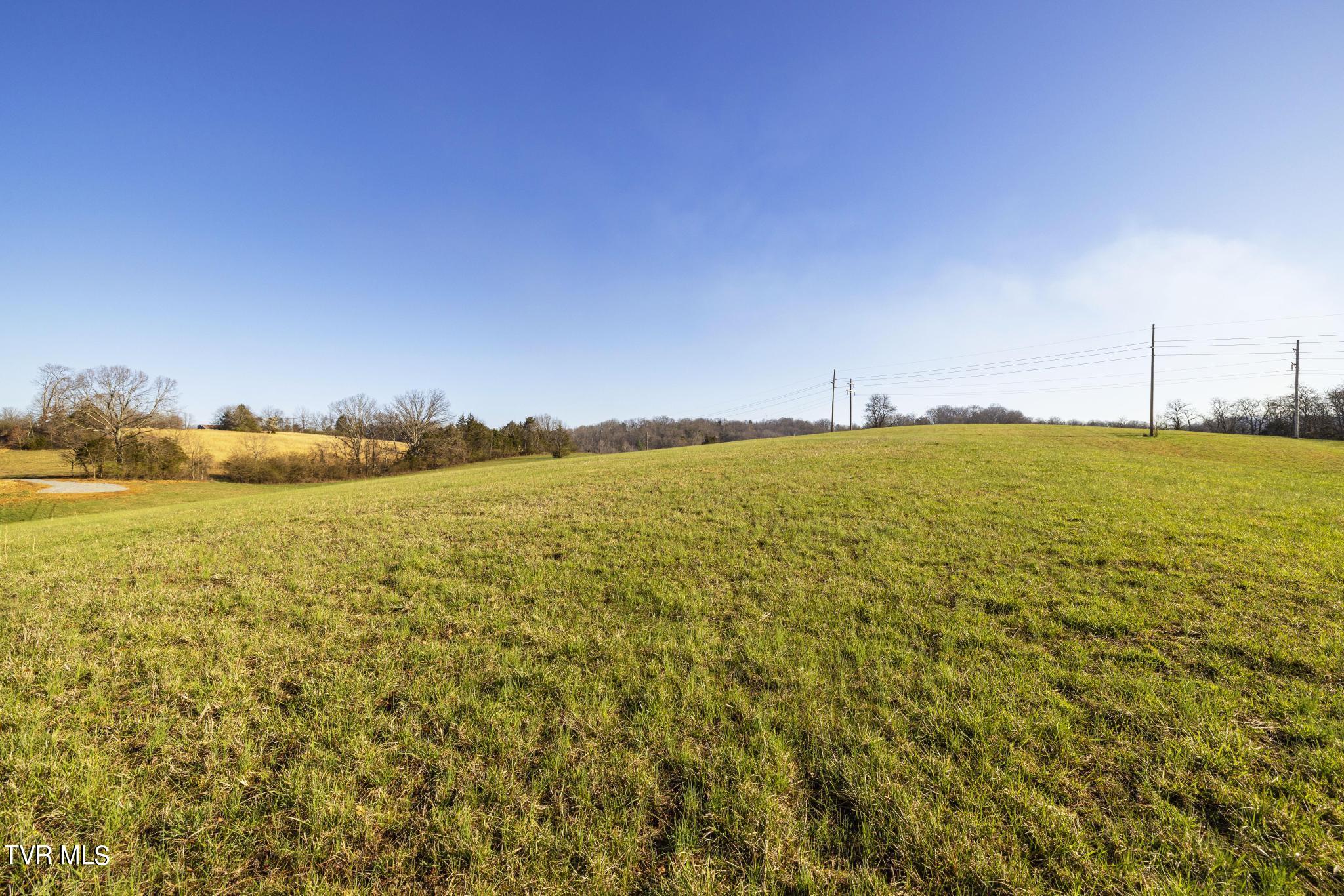 Lot 2 Woodfield Road Greeneville, TN 37743 - Photo 8 of 26 Ground view