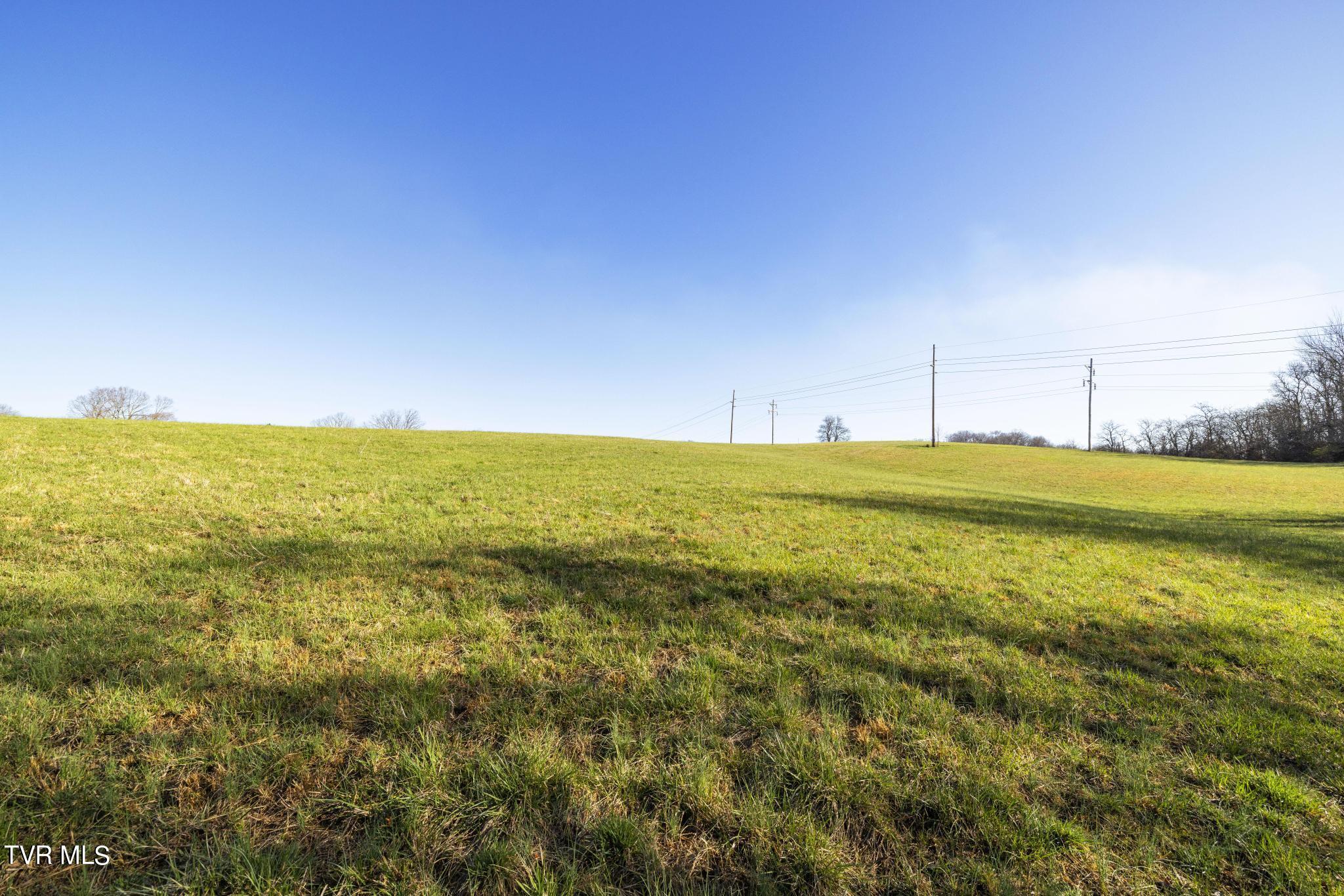 Lot 2 Woodfield Road Greeneville, TN 37743 - Photo 9 of 26 Ground view