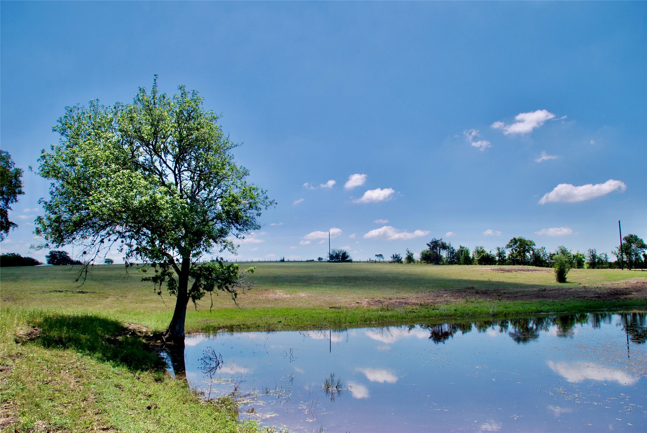 3703 Muehr Road Weimar, TX 78962 - Photo 25 of 29