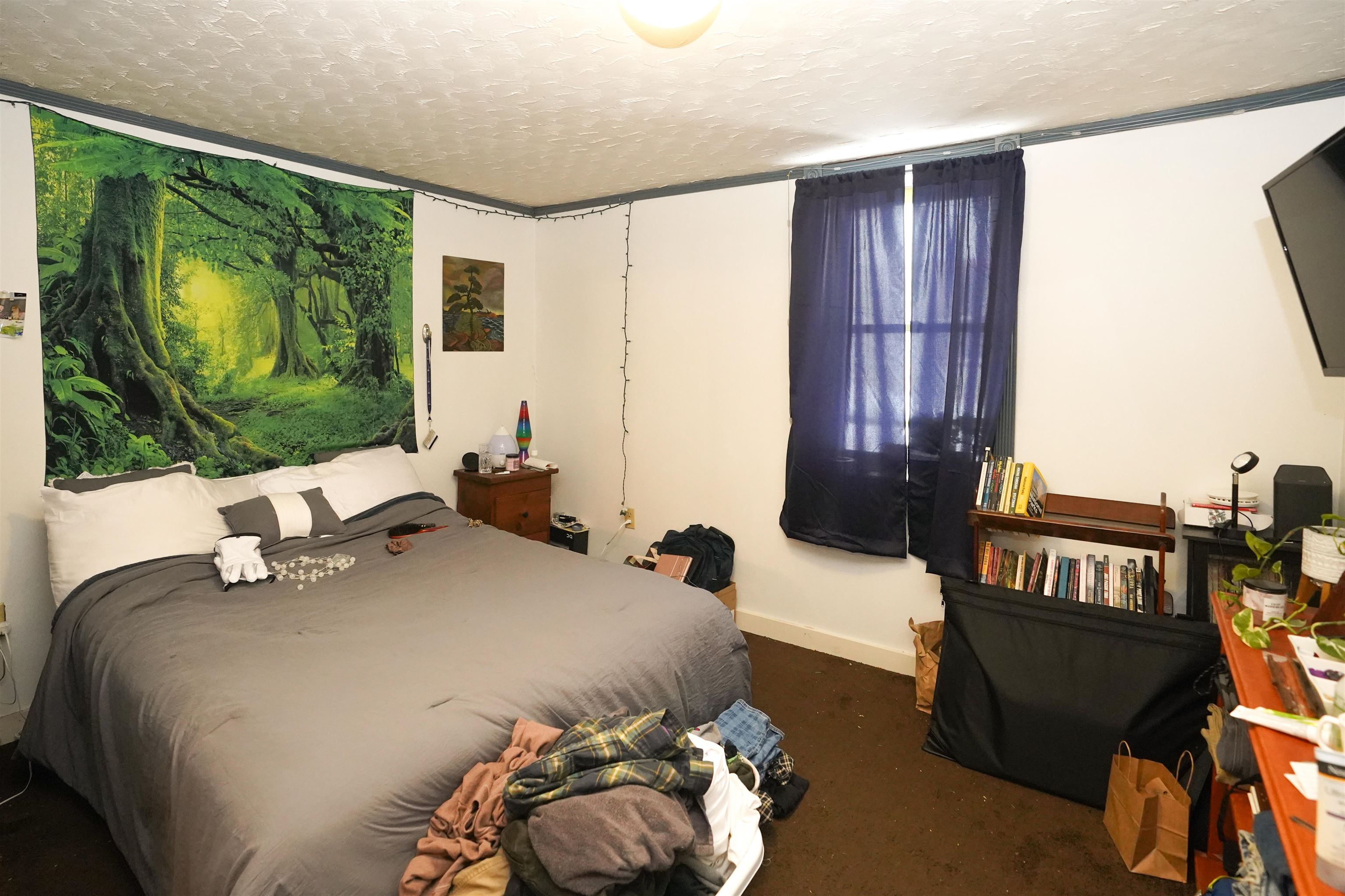 77 Railroad Street Johnson, VT 05656 - Photo 9 of 31