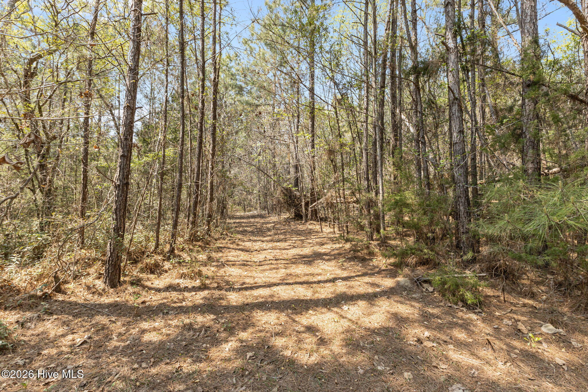 4160 Freedom Way Hubert, NC 28539 - Photo 7 of 27 7-web-or-mls-1S3A5217